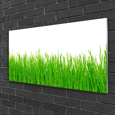 Quadro acrílico Natureza da planta grama