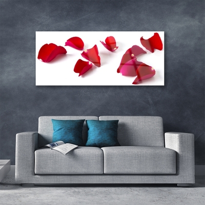 Quadro acrílico Pétalas Planta Natureza