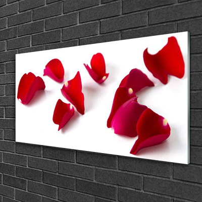 Quadro acrílico Pétalas Planta Natureza