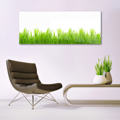 Quadro acrílico Natureza da planta grama