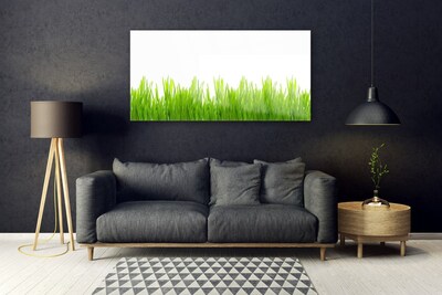 Quadro acrílico Natureza da planta grama