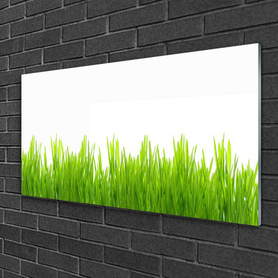 Quadro acrílico Natureza da planta grama