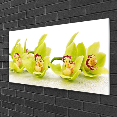 Quadro acrílico Flores Planta Natureza