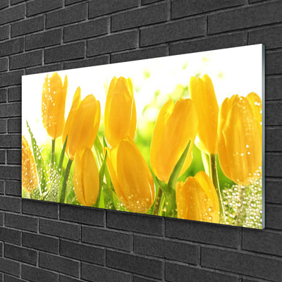 Pintura acrílica Tulipas Flores Planta