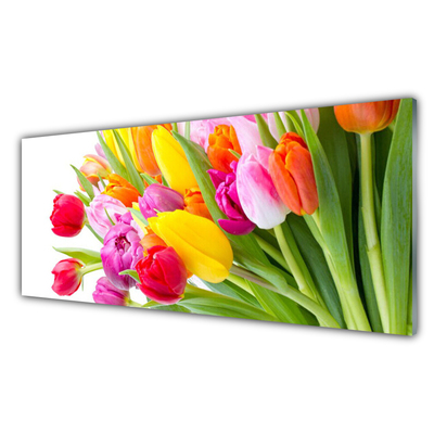 Pintura acrílica Tulipas Flores Planta
