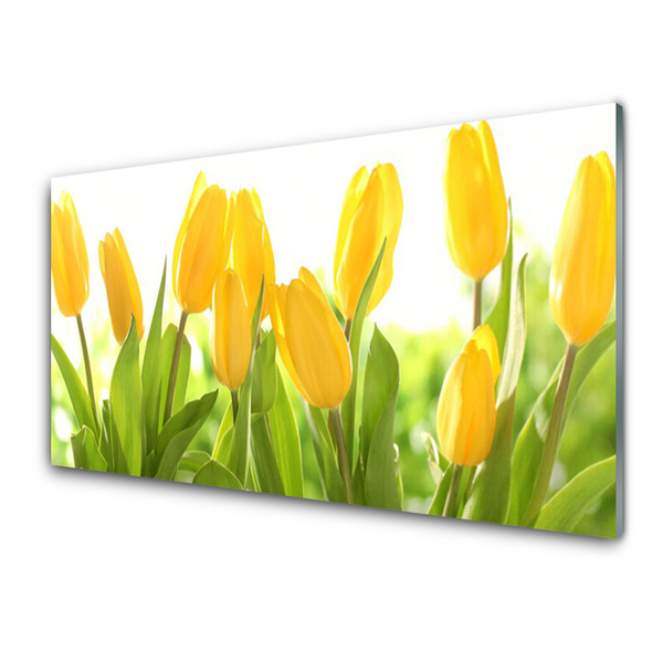 Pintura acrílica Tulipas Flores Planta