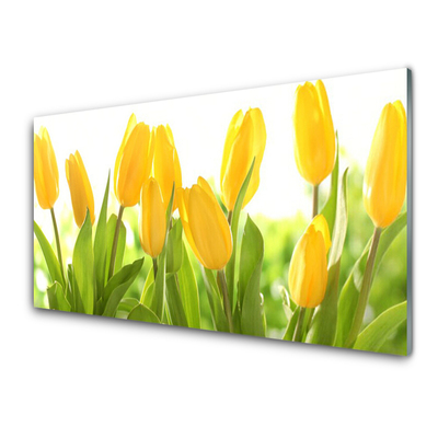 Pintura acrílica Tulipas Flores Planta