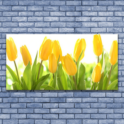 Pintura acrílica Tulipas Flores Planta