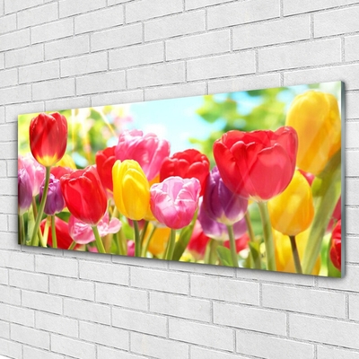 Quadro acrílico Tulipas Flores Planta
