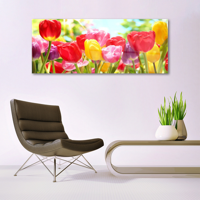 Quadro acrílico Tulipas Flores Planta