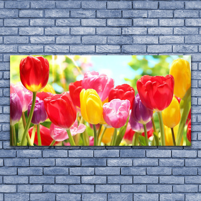 Quadro acrílico Tulipas Flores Planta