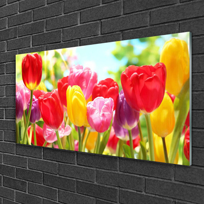 Quadro acrílico Tulipas Flores Planta