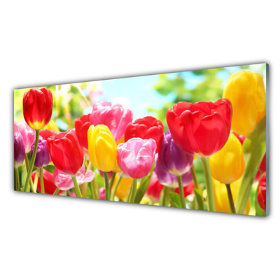 Quadro acrílico Tulipas Flores Planta