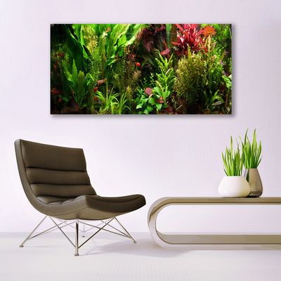 Quadro acrílico Plantas Flores Natureza