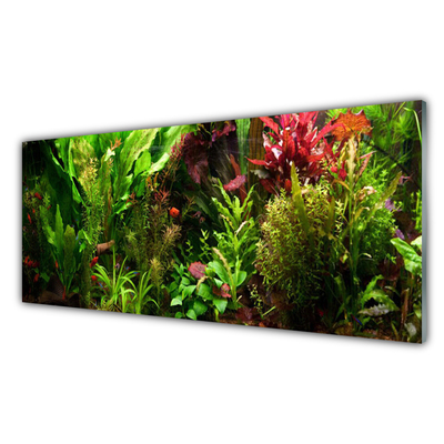 Quadro acrílico Plantas Flores Natureza