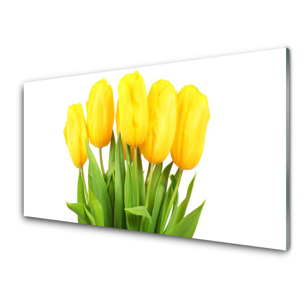 Quadro acrílico Tulipas Flores Planta