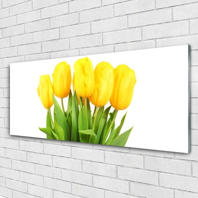 Quadro acrílico Tulipas Flores Planta