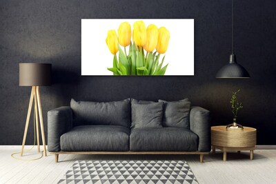 Quadro acrílico Tulipas Flores Planta