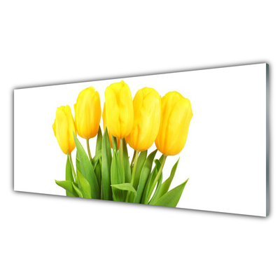 Quadro acrílico Tulipas Flores Planta