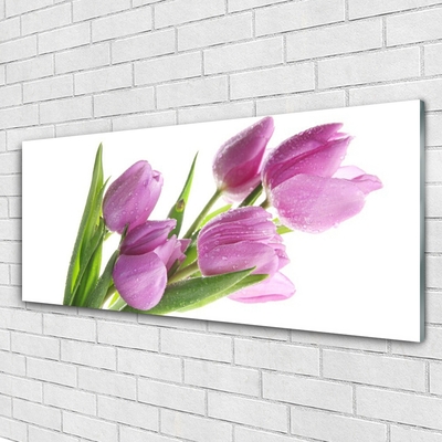 Quadro acrílico Tulipas Flores Planta