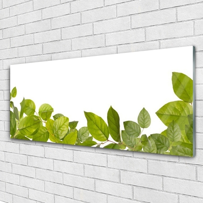 Quadro acrílico Folhas Natureza Planta