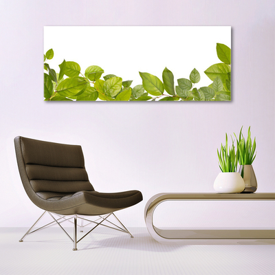 Quadro acrílico Folhas Natureza Planta