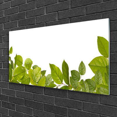 Quadro acrílico Folhas Natureza Planta