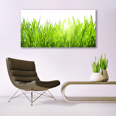 Quadro acrílico Natureza da planta grama
