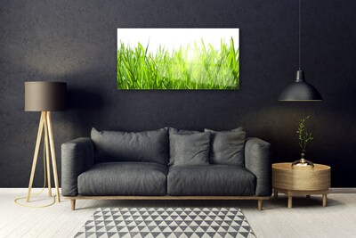 Quadro acrílico Natureza da planta grama