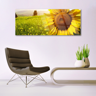 Quadro acrílico Planta de flor de girassol