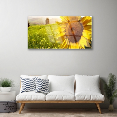 Quadro acrílico Planta de flor de girassol