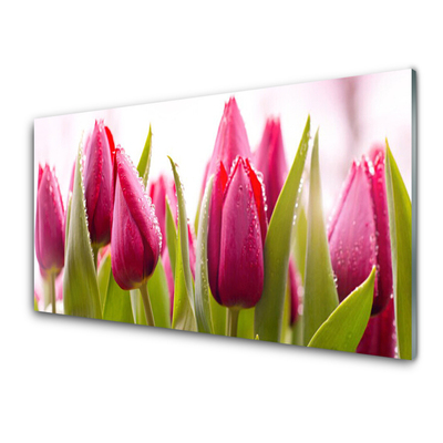 Quadro acrílico Tulipas Flores Planta