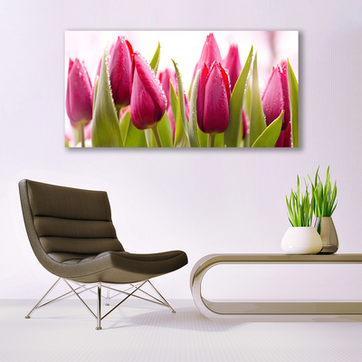 Quadro acrílico Tulipas Flores Planta