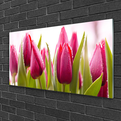 Quadro acrílico Tulipas Flores Planta