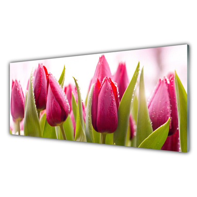Quadro acrílico Tulipas Flores Planta