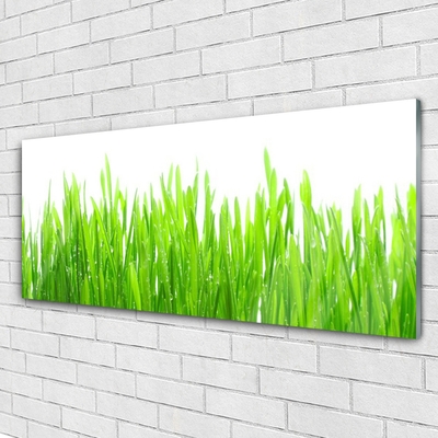 Quadro acrílico Natureza da planta grama