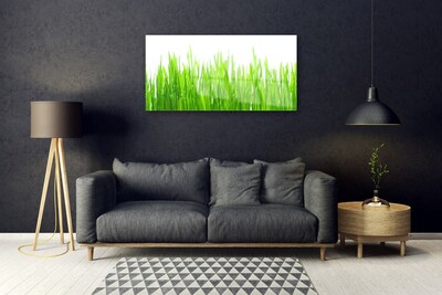 Quadro acrílico Natureza da planta grama
