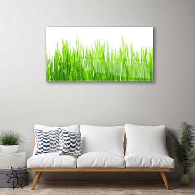 Quadro acrílico Natureza da planta grama