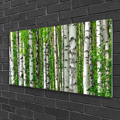Pintura acrílica Floresta Planta Natureza Árvores