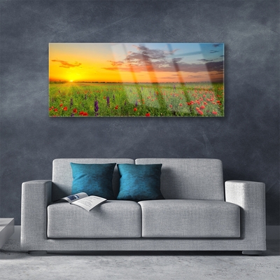 Quadro acrílico Sun Meadow Flores Natureza