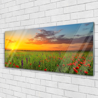 Quadro acrílico Sun Meadow Flores Natureza
