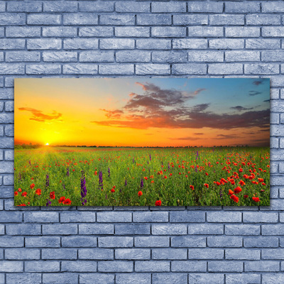 Quadro acrílico Sun Meadow Flores Natureza