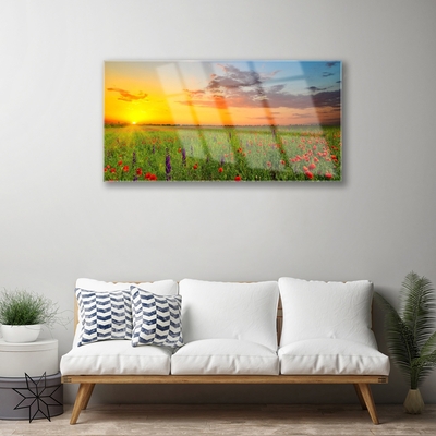 Quadro acrílico Sun Meadow Flores Natureza