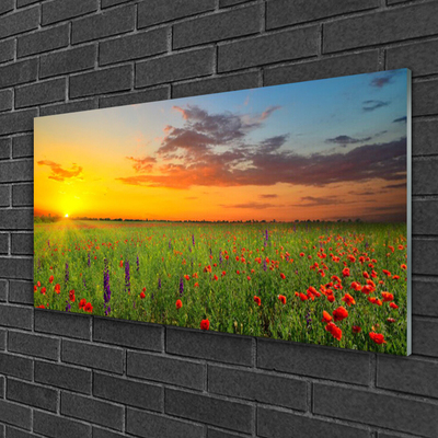 Quadro acrílico Sun Meadow Flores Natureza