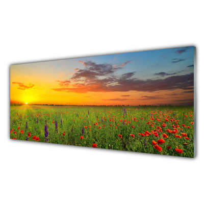 Quadro acrílico Sun Meadow Flores Natureza