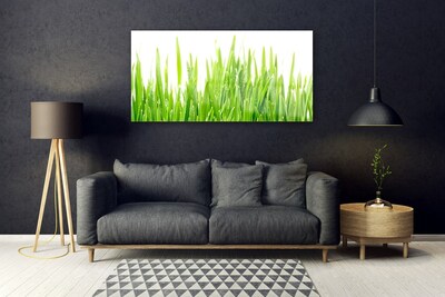 Quadro acrílico Natureza da planta grama