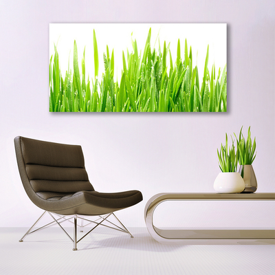 Quadro acrílico Natureza da planta grama
