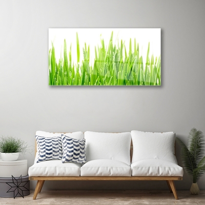Quadro acrílico Natureza da planta grama