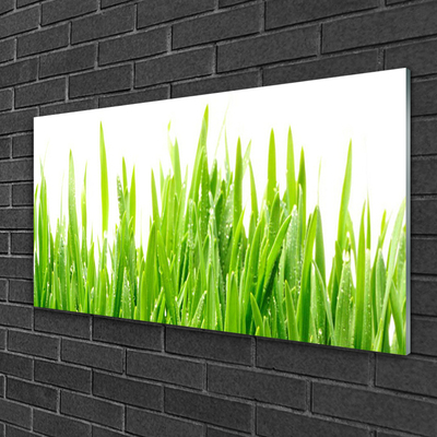 Quadro acrílico Natureza da planta grama