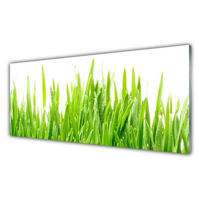 Quadro acrílico Natureza da planta grama
